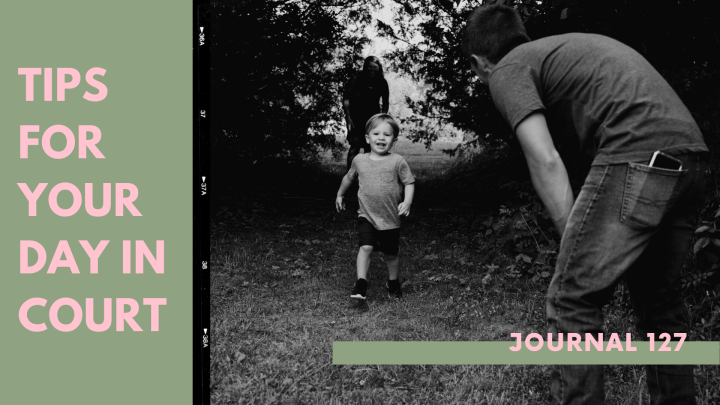 Tips For Your Day in&nbsp;Court